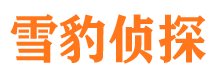 东河侦探公司